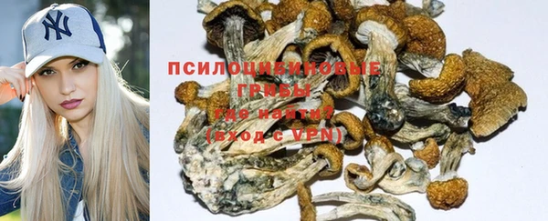 jwh Пересвет