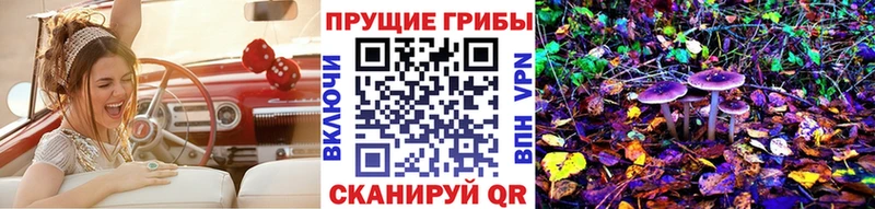 Купить Чердынь Псилоцибиновые грибы Cubensis